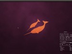 201105051_conky_ubuntu_1104_dual_core