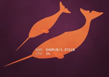 20110505_conky2_ubuntu_1104_dual_core