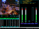 20110612_Mplayer_Framebuffer_800x600