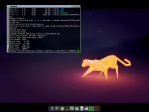 20111206_TinyCore_Partclone