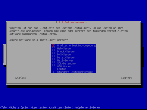 Debian_Netzinstallation_23