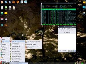 20110618_Puppy_Linux_Inspiron4000